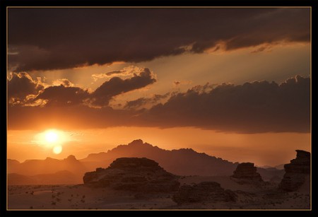 MIEL DU DESERT (CACTUS OU "DARMOUS")