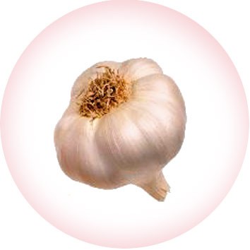 De l’ail contre les durillons