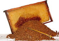PROPOLIS